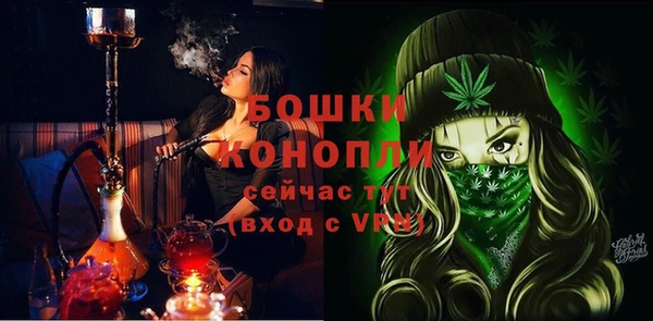 ГАЛЛЮЦИНОГЕННЫЕ ГРИБЫ Иннополис