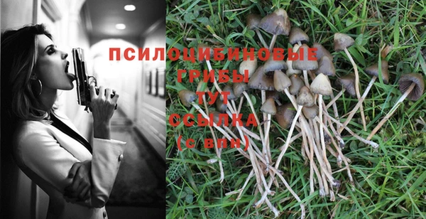 мдма Инта